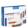 Harpagophytum Premium en Ampoules - Articulations