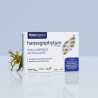 Harpagophytum premium en gélules - Articulations & Mobilité