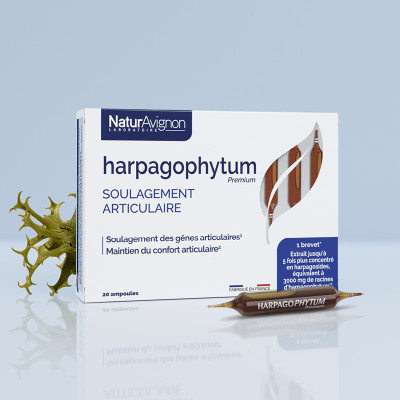 Harpagophytum - Ampoules articulations