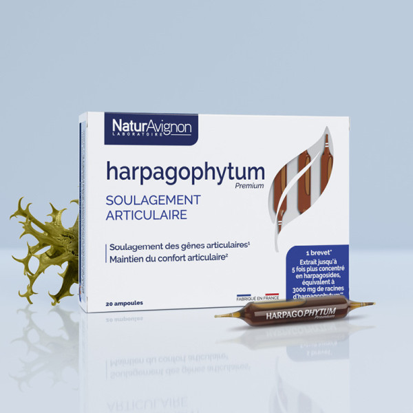 Harpagophytum - Ampoules articulations