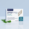 Ginkgo biloba – Mémoire & concentration