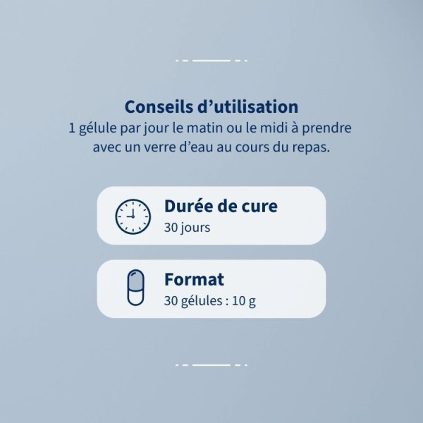Complément Alimentaire Curcuma Bio - Immunité & Tonus