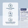 Complément Alimentaire Cartilage de Requin articulation
