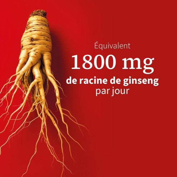 Complément Alimentaire GINSENG & GELEE ROYALE en Gélules