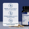Ashwagandha bio : pour le bien-être émotionnel et la récupération