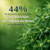 Ashwagandha bio : pour le bien-être émotionnel et la récupération
