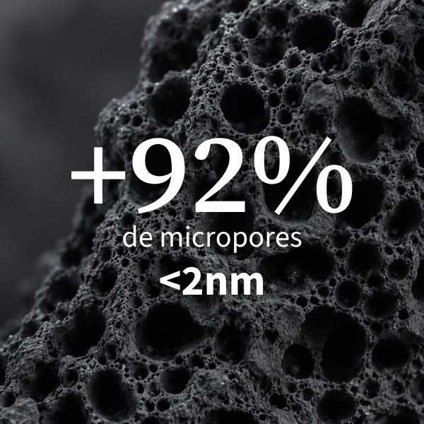 Charbon actif végétal : complément alimentaire confort digestif