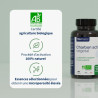 Charbon actif végétal : complément alimentaire confort digestif