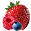 Fruits rouges